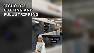 JIGUO (フルストリップ) 自動ダイカットおよびストリップマシン