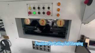 JIGUO TMY-800H 自動型抜き＆箔押し機