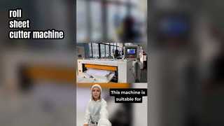 ZWC-1100D 自動ロールシートカッター機包装用高精度紙切断装置